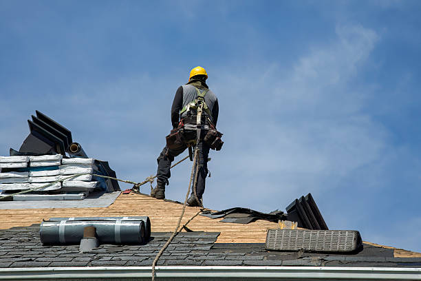 Professional Gutter Installation technician working in Longwood, FL
